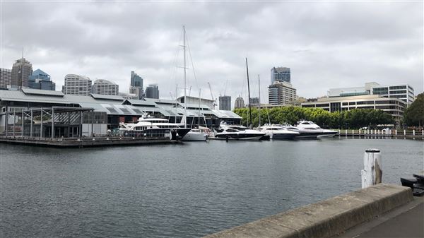 Metcalfe Park & Casino Wharf (26/10/2018 - Credits: Shannon Wheeler)