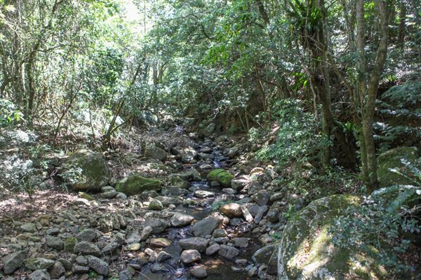 Minnamurra Rainforest Walk - Budderoo National Park (30/10/2018)