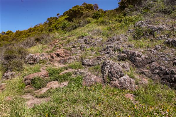 Mystics Beach (Minnamurra Beach) - Killalea State Park (30/10/2018)