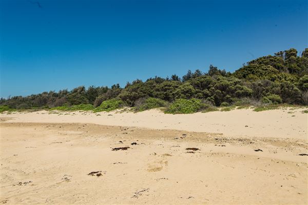 Mystics Beach (Minnamurra Beach) - Killalea State Park (30/10/2018)