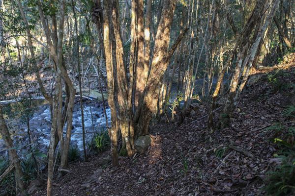 Clarrie Hall Dam (1/11/2018)