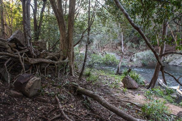 Clarrie Hall Dam (1/11/2018)