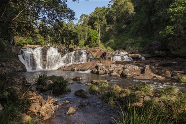 Whian Whian Falls (1/11/2018)