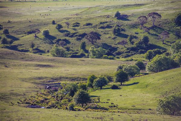 Taralga countryside (31/10/2018)