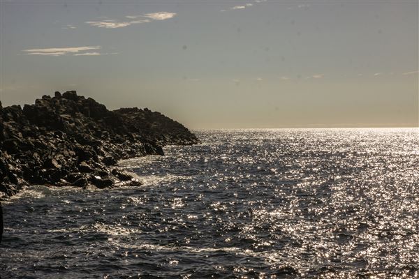 Bombo Headland Quarry (30/10/2018 - Credits: Chris Reynolds)