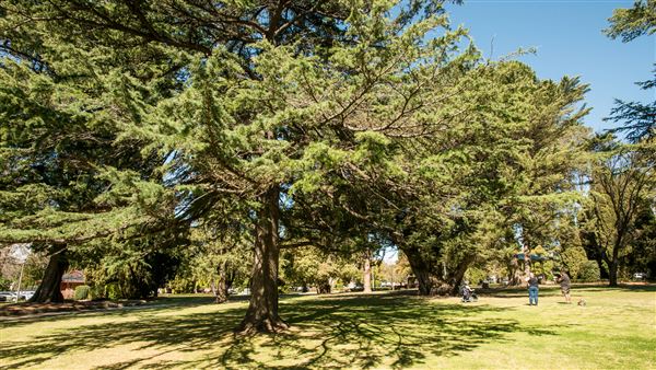 Armidale (20/09/2018 - Credits: Colin McDougall)