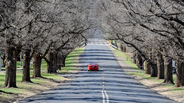 Armidale (20/09/2018 - Credits: Colin McDougall)