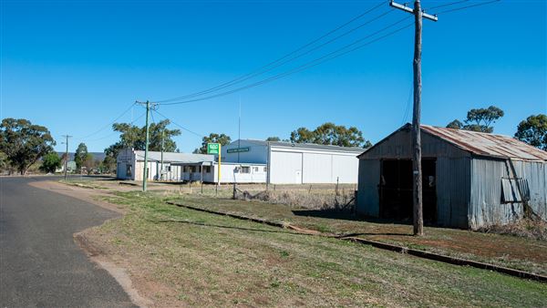 Curlewis (21/09/2018 - Credits: Colin McDougall)