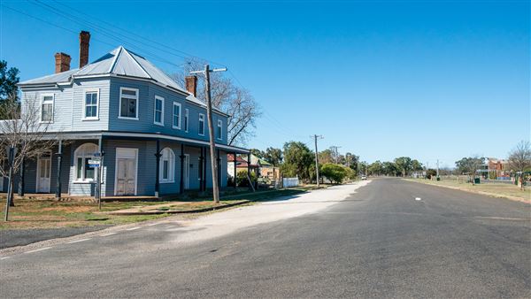 Curlewis (21/09/2018 - Credits: Colin McDougall)