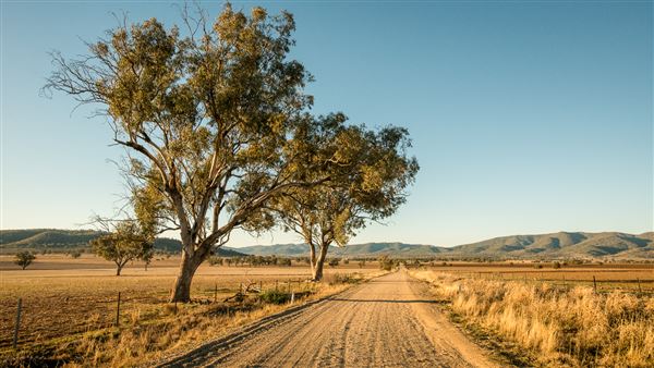 Quirindi (16/09/2018 - Credits: Colin McDougall)