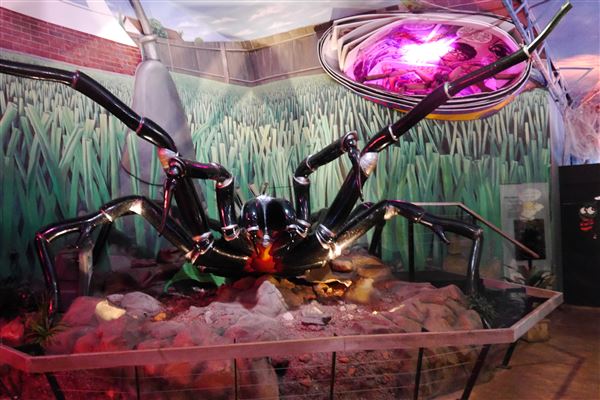 The Australian Reptile Park (25/02/2019 - Credits: Australian Reptile Park)
