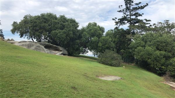 Strickland House - Sydney Harbour National Park (20/05/2019 - Credits: Shannon Wheeler)