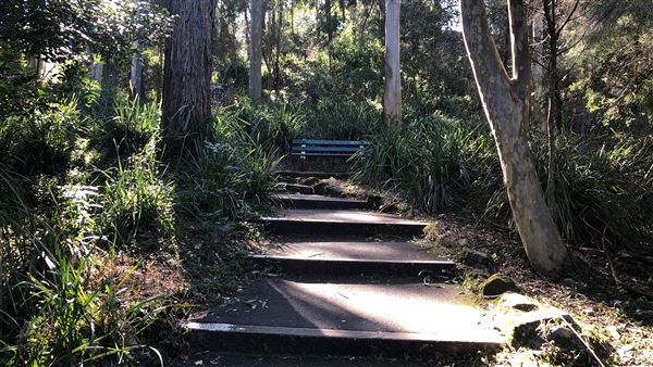 Trumper Park (24/08/2019 - Credits: Shannon Wheeler)