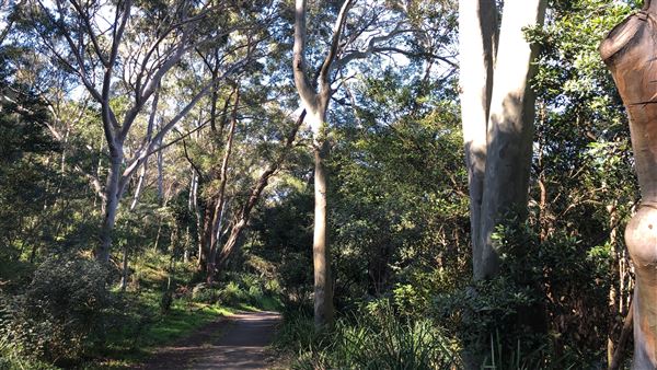 Trumper Park (24/08/2019 - Credits: Shannon Wheeler)
