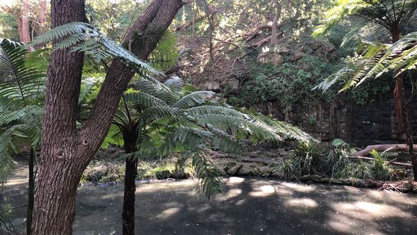 Trumper Park (24/08/2019 - Credits: Shannon Wheeler)