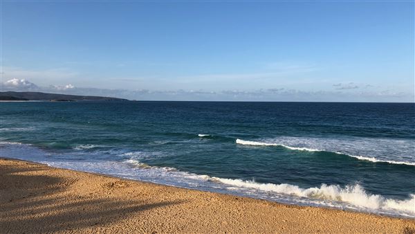 Tura Beach (26/09/2019 - Credits: Shannon Wheeler)