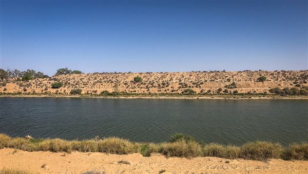 Weir Channel - Menindee (2/03/2019 - Credits: Colin McDougall)