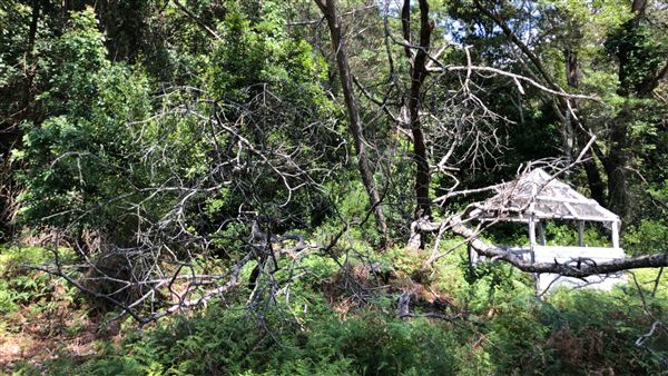 Otford Farm - Paintball Property (19/11/2019 - Credits: Screen NSW)