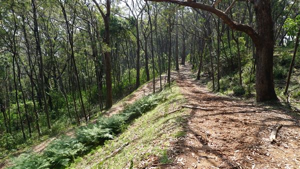 Otford Farm - Paintball Property (19/11/2019 - Credits: Screen NSW)