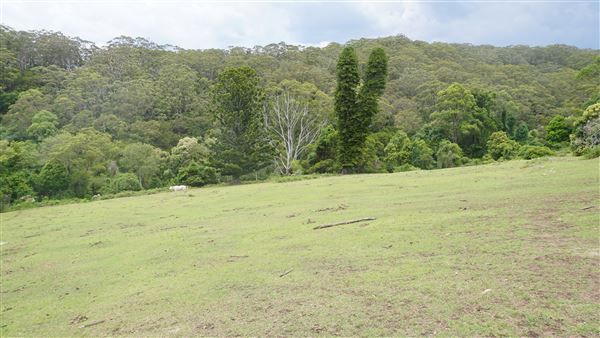 Otford Farm - The Pines Paddock with Jungle Gully (19/11/2019 - Credits: Screen NSW)