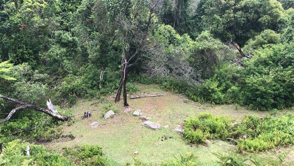 Otford Farm - The Pines Paddock with Jungle Gully (19/11/2019 - Credits: Screen NSW)