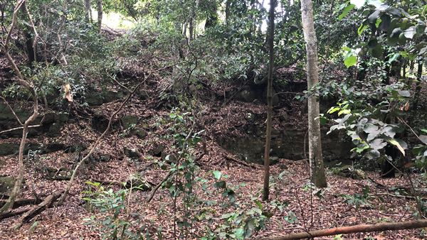 Otford Farm - The Pines Paddock with Jungle Gully (19/11/2019 - Credits: Screen NSW)