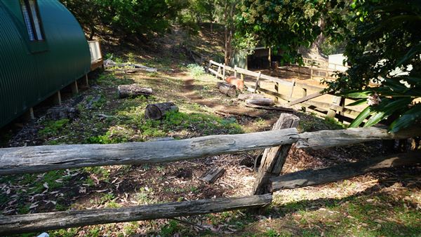 Otford Farm - Horse Farm (19/11/2019 - Credits: Screen NSW)