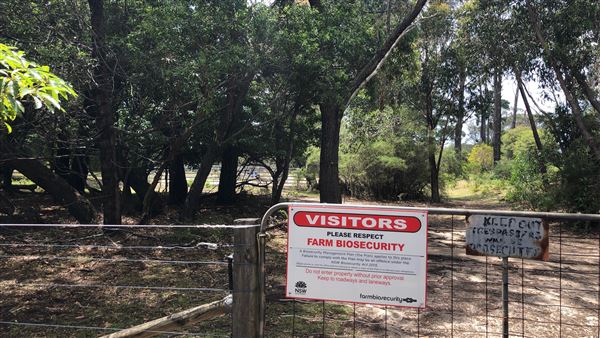 Otford Farm - Horse Farm (19/11/2019 - Credits: Screen NSW)