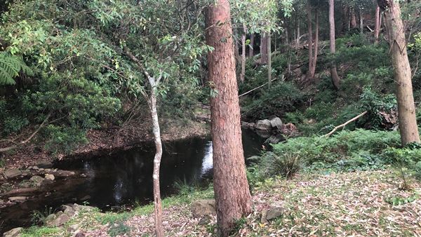 Otford Farm - Horse Farm (19/11/2019 - Credits: Screen NSW)