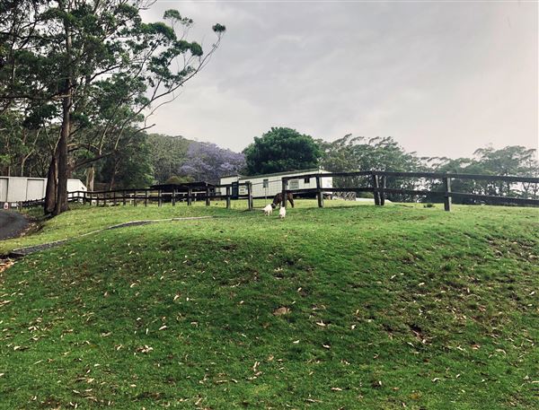 Otford Farm - Horse Farm (19/11/2019 - Credits: Screen NSW)