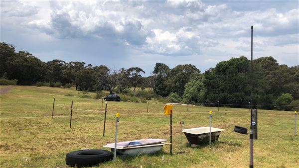 Otford Farm - Crazy T Farm (19/11/2019 - Credits: Screen NSW)