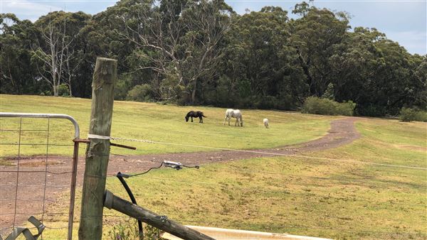 Otford Farm - Crazy T Farm (19/11/2019 - Credits: Screen NSW)