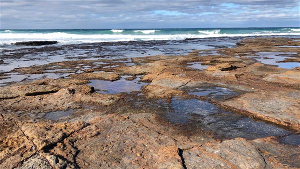 Berrara Beaches (7/07/2020 - Credits: Shannon Wheeler)