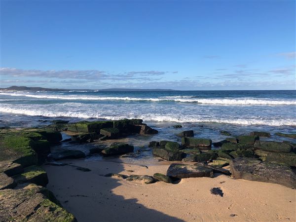 Berrara Beaches (7/07/2020 - Credits: Shannon Wheeler)