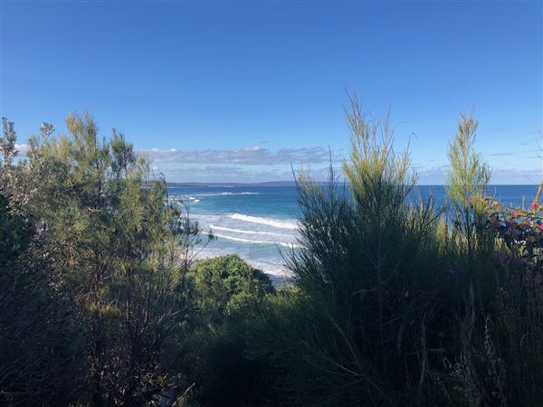 Berrara Beaches (7/07/2020 - Credits: Shannon Wheeler)