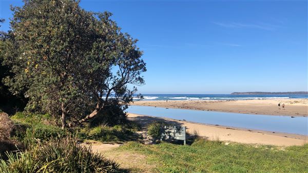 Berrara Creek - Conjola National Park (6/07/2020 - Credits: Shannon Wheeler)