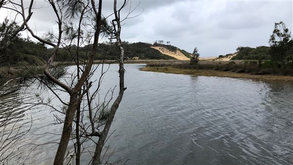 Swan Lake Inlet - Cudmirrah Beach (8/07/2020 - Credits: Shannon Wheeler)