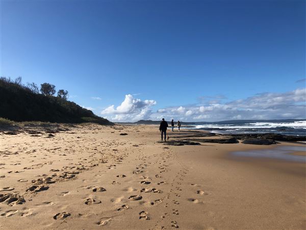 Swan Lake Inlet - Cudmirrah Beach (8/07/2020 - Credits: Shannon Wheeler)