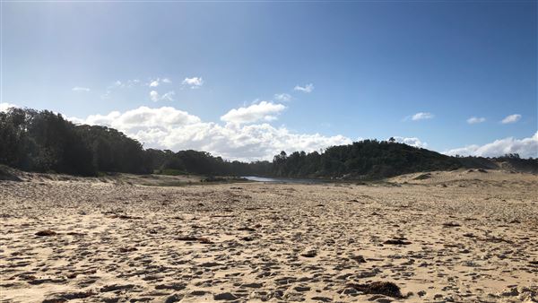 Swan Lake Inlet - Cudmirrah Beach (8/07/2020 - Credits: Shannon Wheeler)