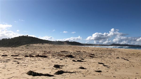 Swan Lake Inlet - Cudmirrah Beach (8/07/2020 - Credits: Shannon Wheeler)