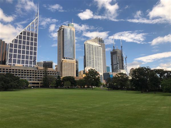 The Domain - Royal Botanic Garden Sydney (30/10/2020 - Credits: Shannon Wheeler)