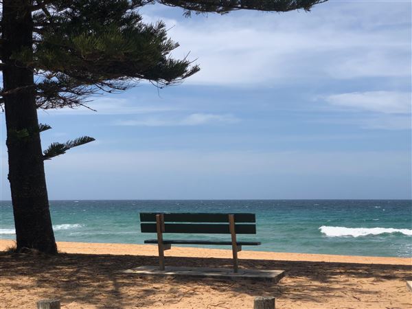 Whale Beach (20/11/2020 - Credits: Screen NSW)