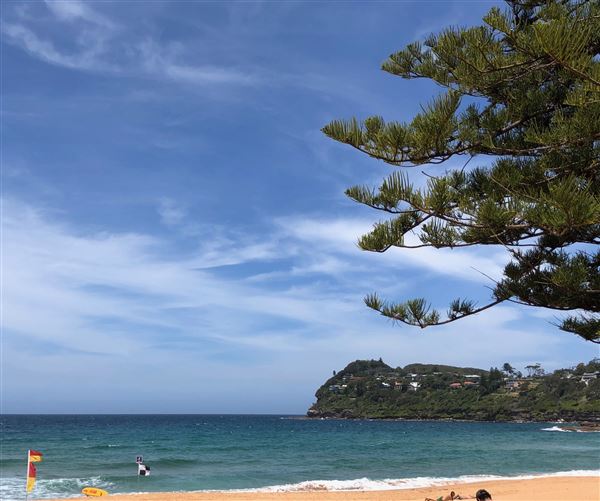 Whale Beach (20/11/2020 - Credits: Screen NSW)