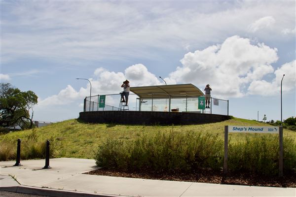 Sydney Airport Shep’s Mound Aviation Vantage Point (19/11/2020 - Credits: Screen NSW)