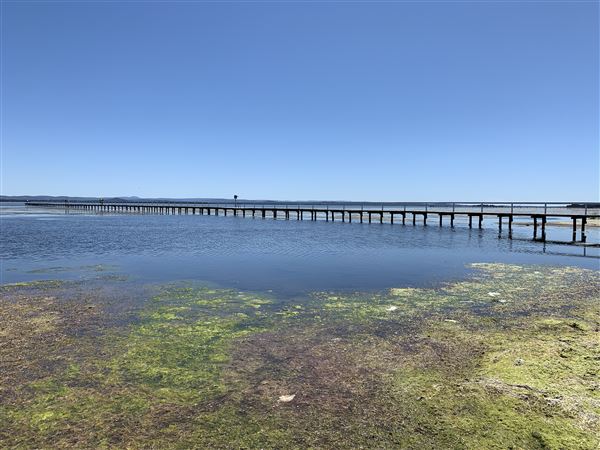 Watkins Jetty Long Jetty (10/10/2020 - Credits: Screen NSW Mechele Axford)