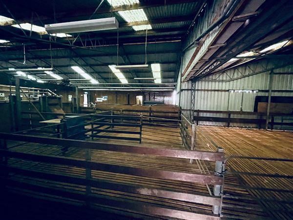 Tobruk Sheep Station - Shearing Shed & Event Venue - These photos were taken at the end of summer however, it was an unusually overcast yet bright day. (23/02/2021 - Credits: Cheryl Conway)
