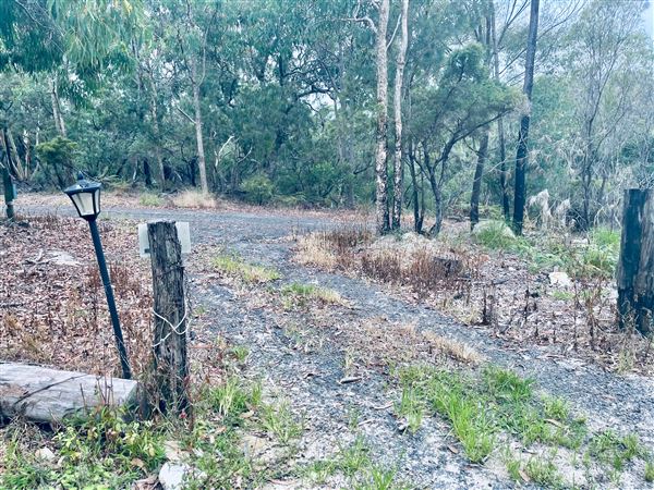 Tobruk Sheep Station - Cottages & surrounds - Summer but usually overcast & glarey. (23/02/2021 - Credits: Cheryl Conway)