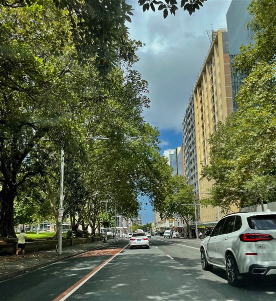 Park, Elizabeth & Liverpool Streets near Hyde Park (2/03/2021 - Credits: Cheryl Conway)