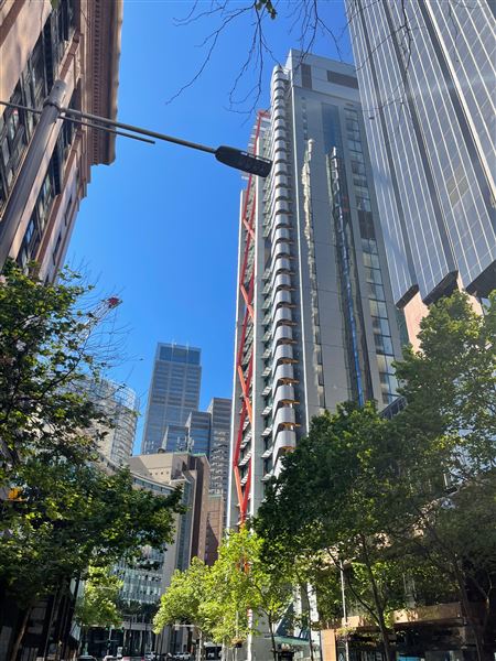 Sydney CBD - Elizabeth Street (17/10/2021 - Credits: Cheryl Conway)
