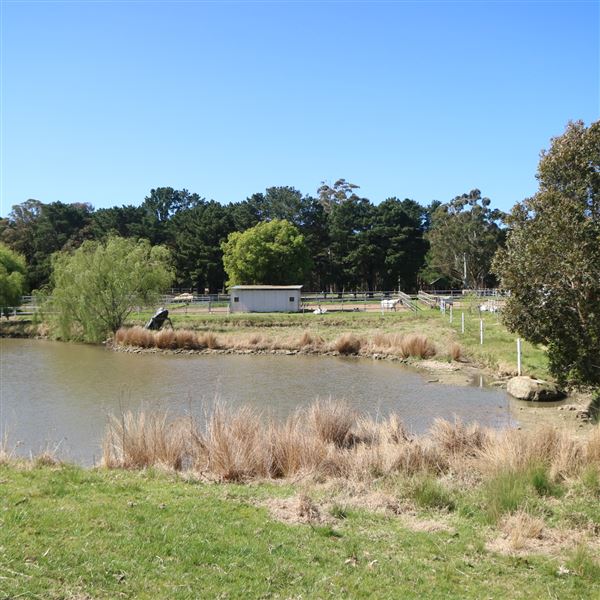 Darkes Forest Ranch (17/11/2022)